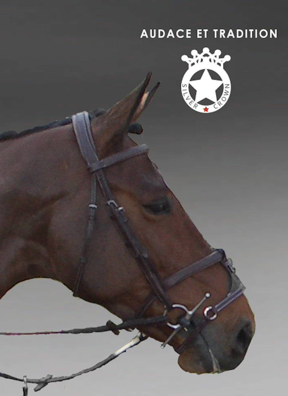 Silver Crown bridle with brand