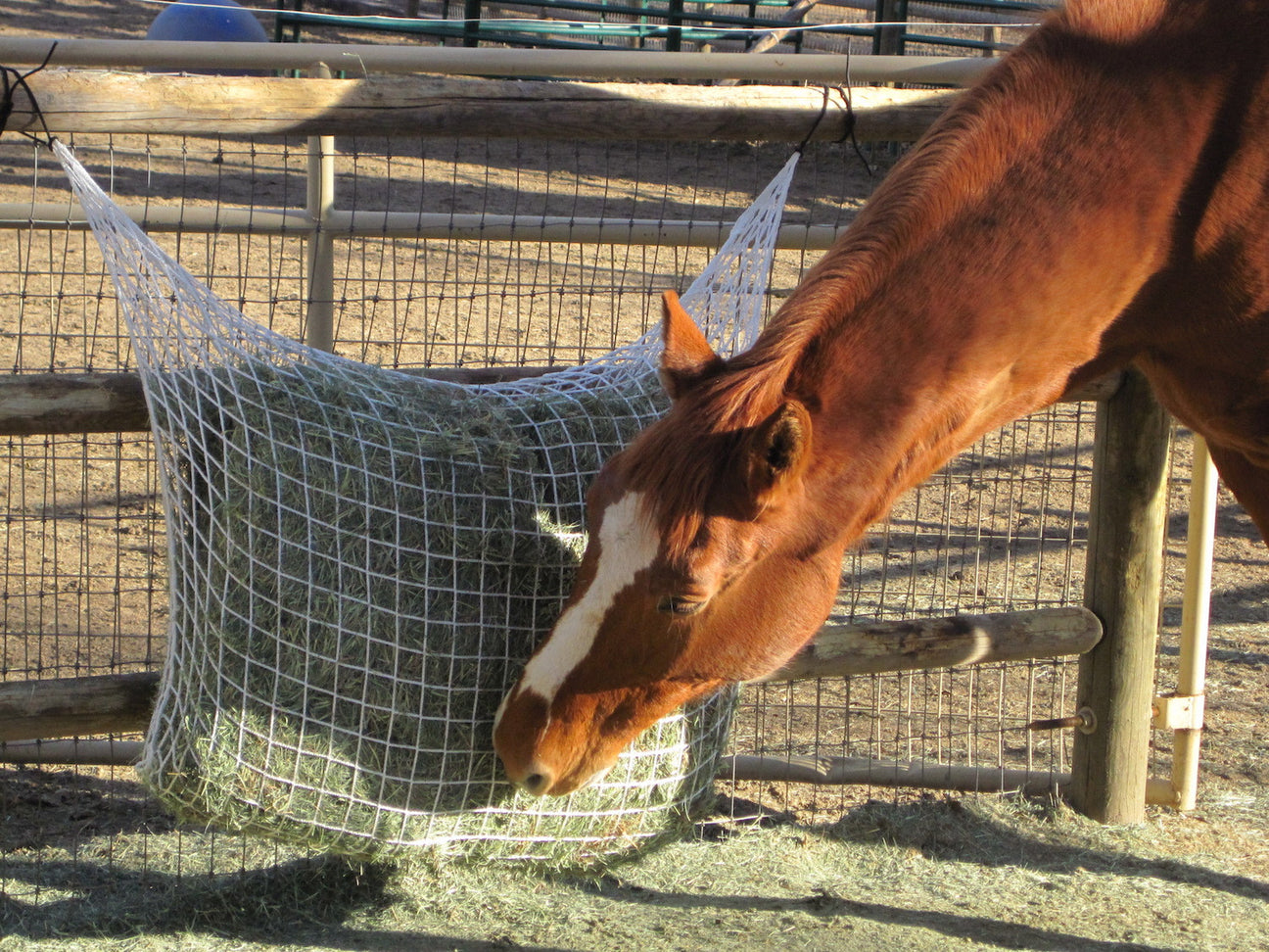 Stable & yard