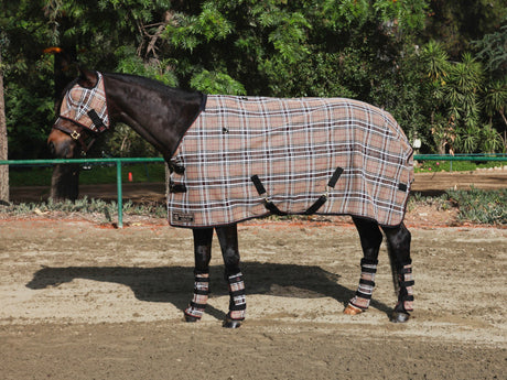 Kensington Protective Products: seriously well-built horse clothing