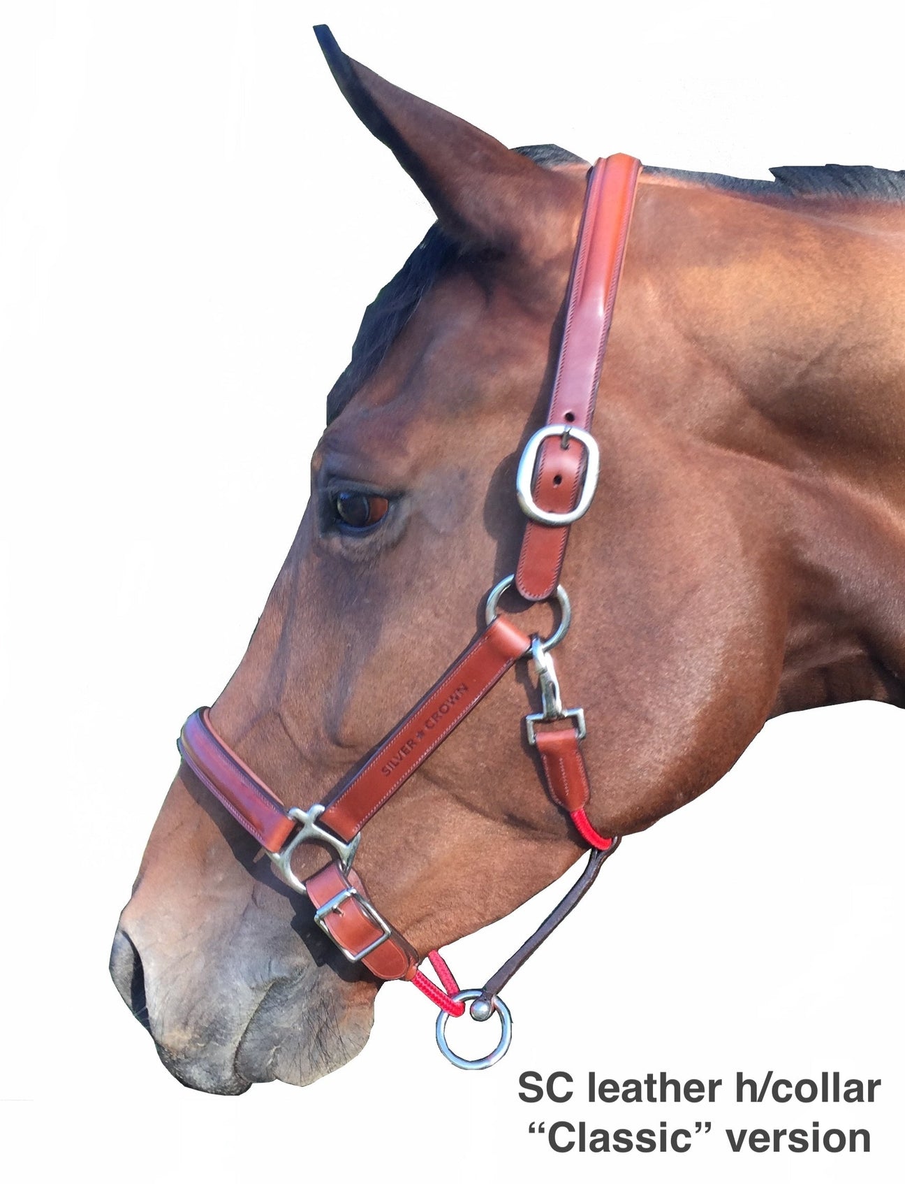 Silver Crown grooming headcollar