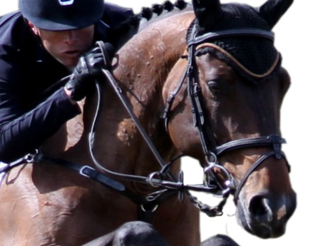 Silver crown bridle with flash noseband