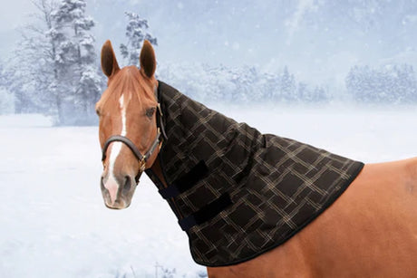 Kensington medium weight neck warmer