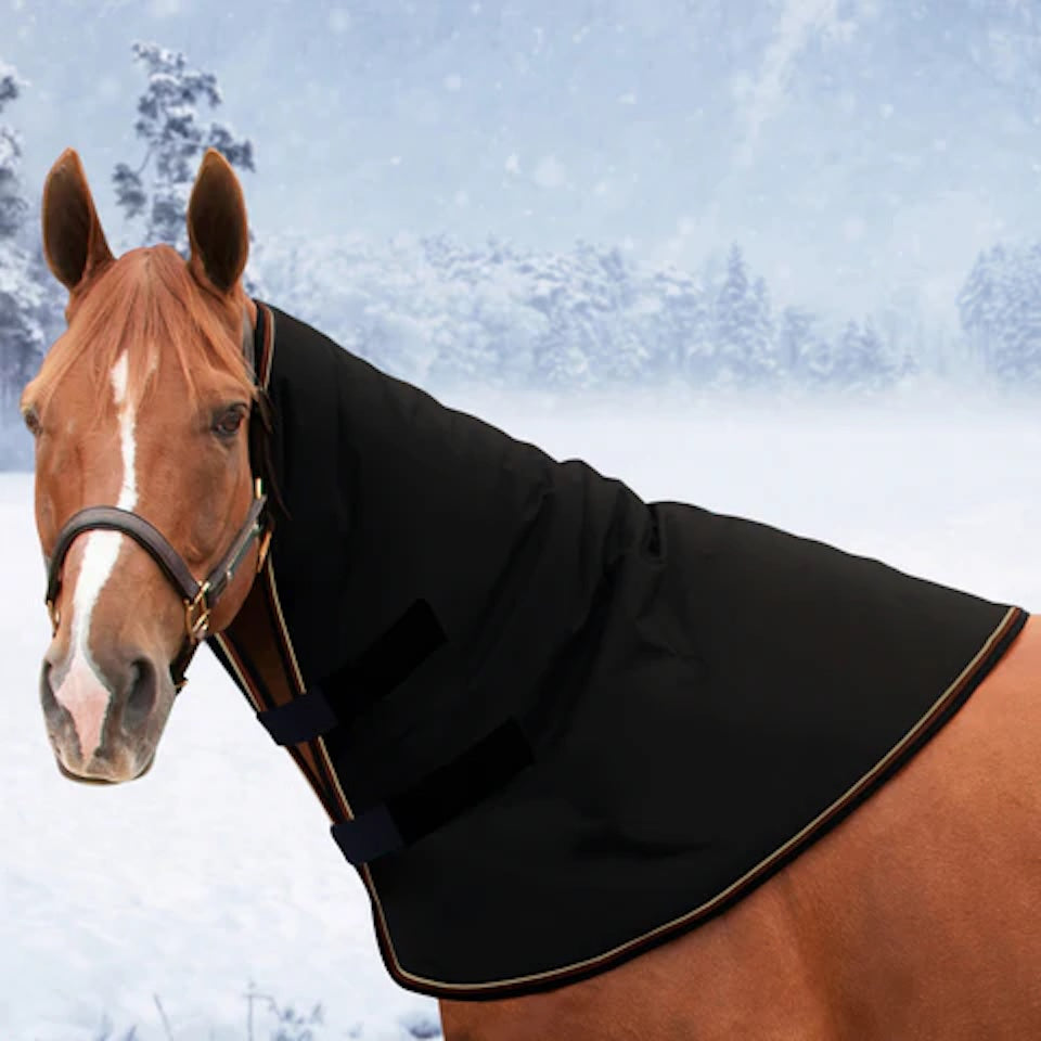 Kensington medium weight neck warmer