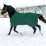 Kensington medium weight winter turnout rug