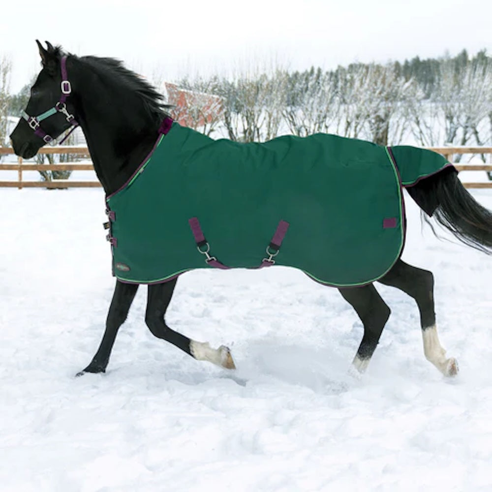 Kensington heavy weight winter turnout rug