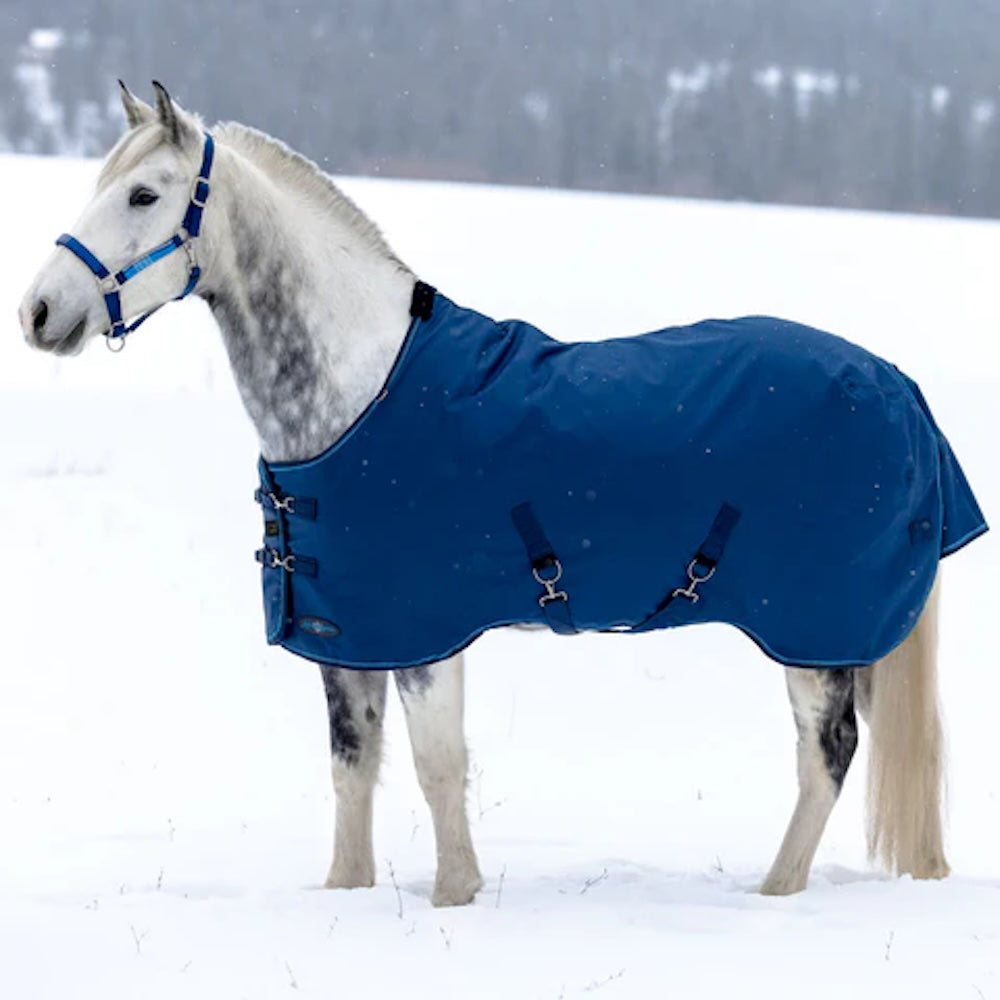 Kensington medium weight winter turnout rug