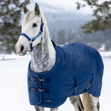 Kensington lighter weight winter turnout rug