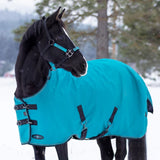 Kensington heavy weight winter turnout rug