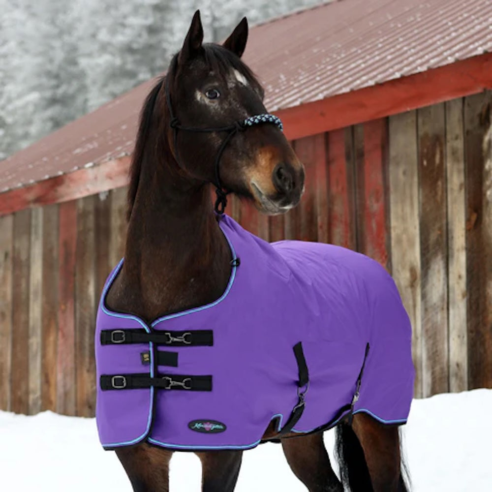 Kensington lighter weight winter turnout rug