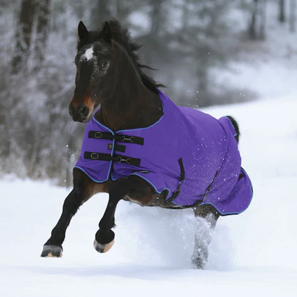 Kensington heavy weight winter turnout rug