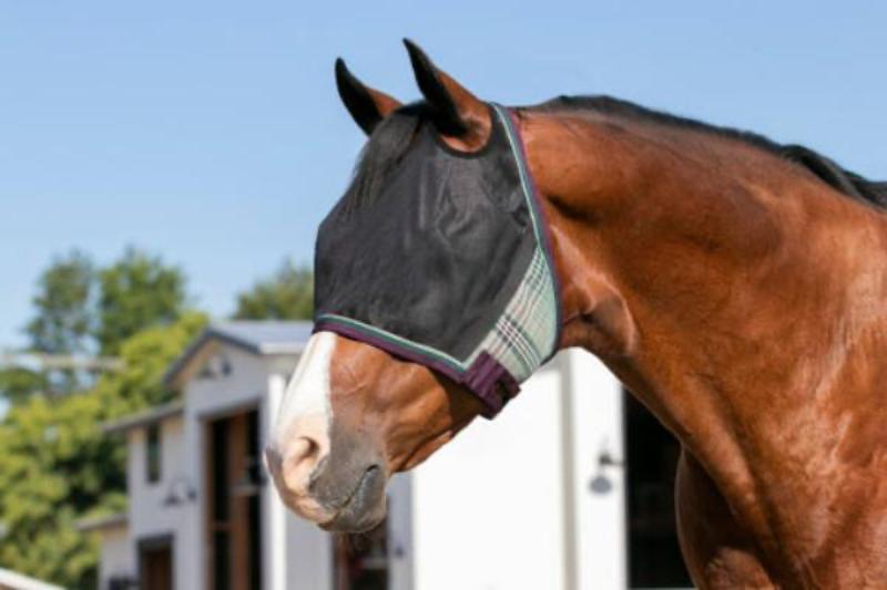 Kensington UViator catch fly mask without nose or ears