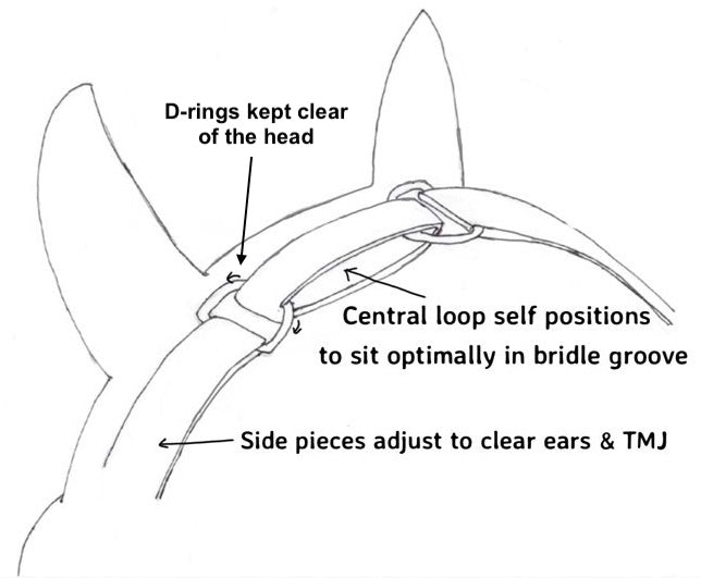 Freeflex bridle with crank noseband & removable flash