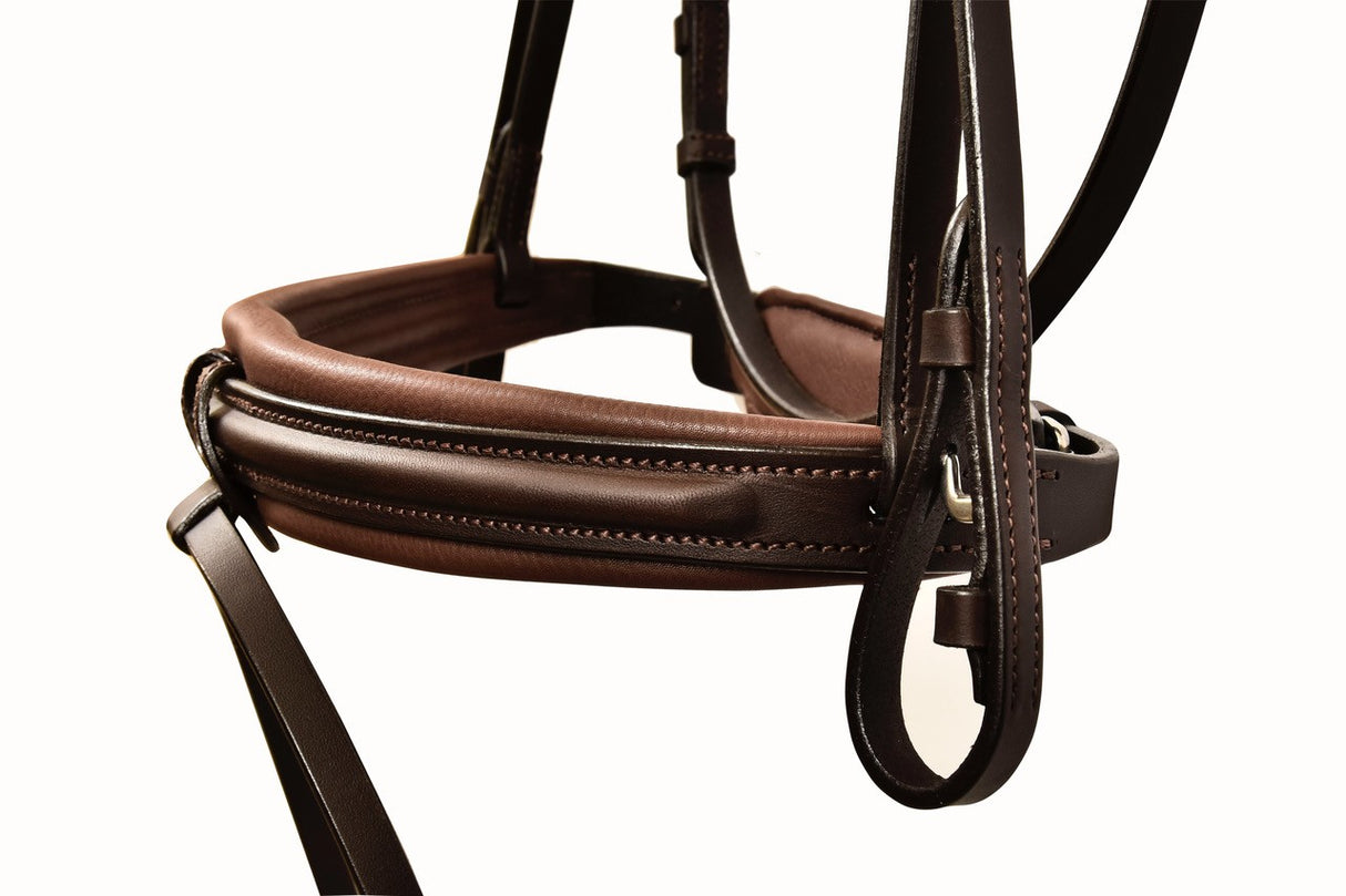 Silver Crown Code 01 bridle