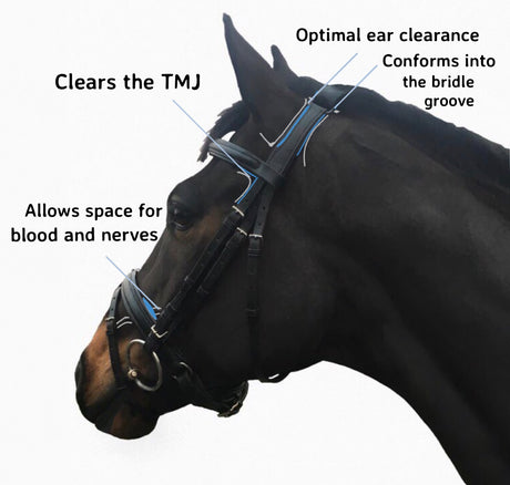 Freeflex bridle with crank noseband & removable flash