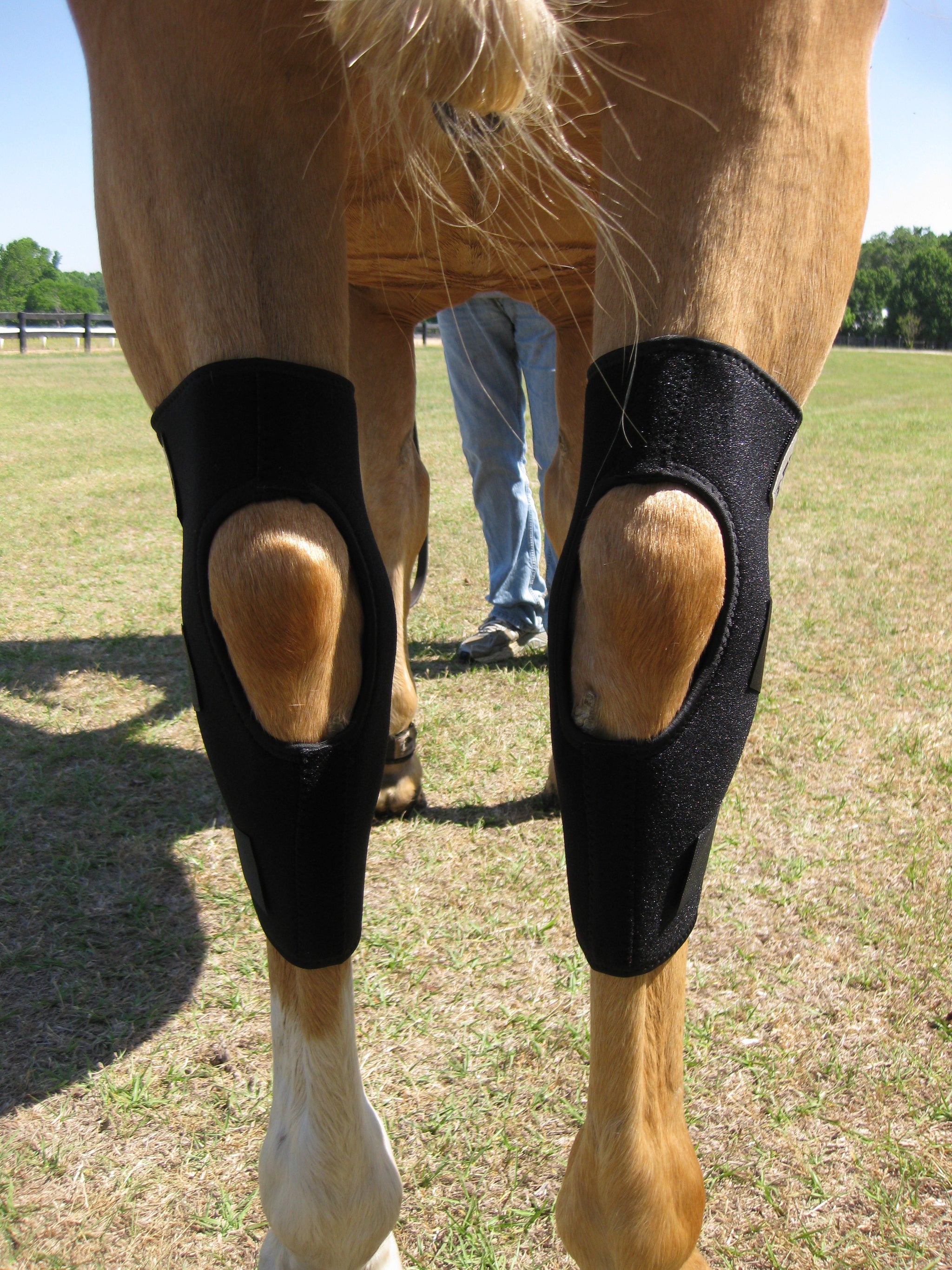 Best hock boots for horses hotsell