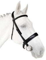 Silver Crown dressage bridle