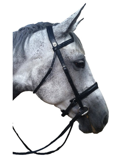 Silver Crown dressage bridle