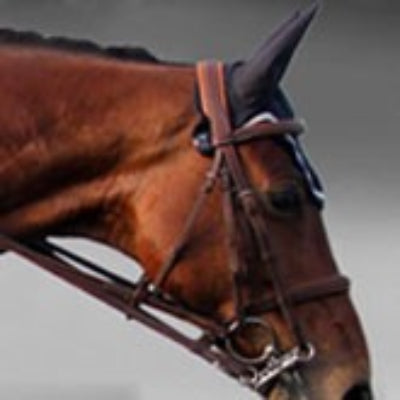 Silver Crown double bridle