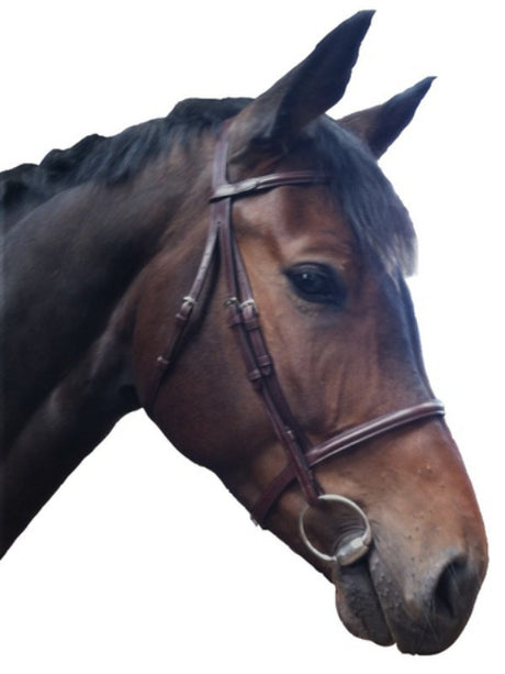 Silver Crown fine bridle